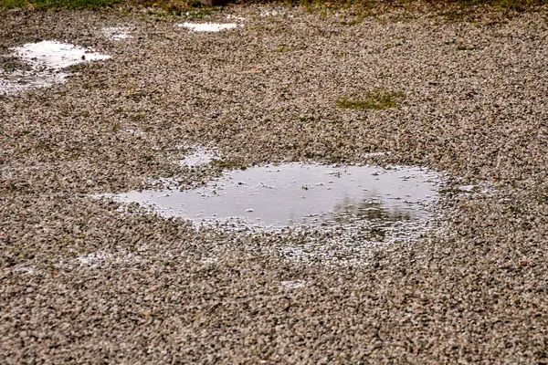 Foto Bild Pfütze Aus Wasser Und Regentropfen — Stockfoto