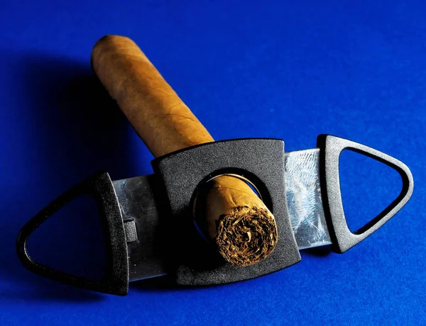 Κούβας Καφέ Havan Cigar Και Cutter Έγχρωμο Φόντο — Φωτογραφία Αρχείου