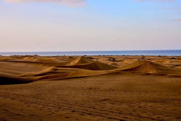 Deserto Con Dune Sabbia Maspalomas Gran Canaria Spagna — Foto Stock