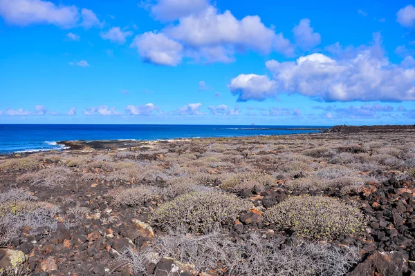 Spanska Utsiktslandskap Tropiska Vulkaniska Kanarieöarna Spanien — Stockfoto