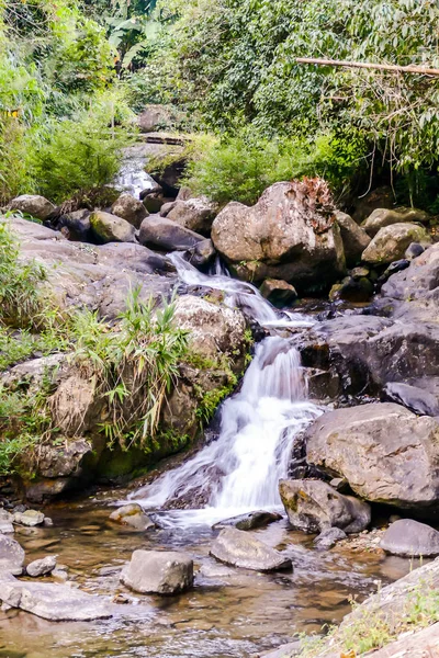 Cachoeira Floresta Bela Foto Imagem Digital — Fotografia de Stock