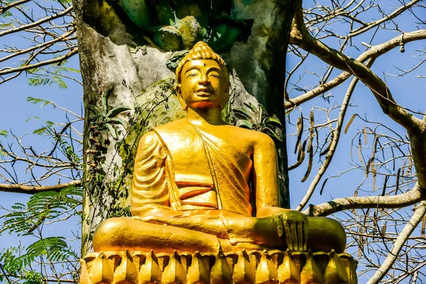 Estatua Buddha Tailandia Foto Hermosa Foto Digital — Foto de Stock