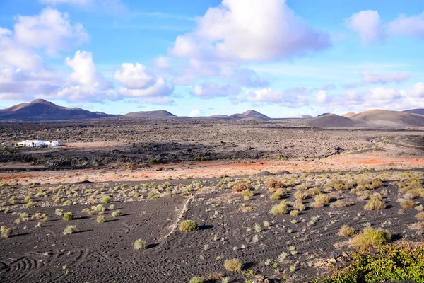 Spanya Daki Geria Lanzarote Kanarya Adalarındaki Üzüm Bağları — Stok fotoğraf