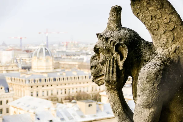 Kathedrale Notre Dame de paris Detail, Foto-Bild ein schöner Rundblick auf die Metropolstadt Paris — Stockfoto