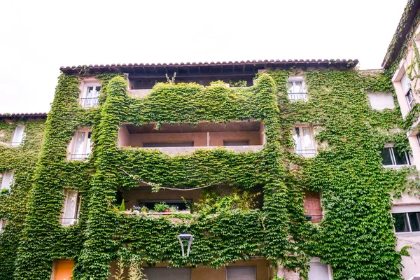 Avignon Provence Pohled Město Papežský Palác — Stock fotografie