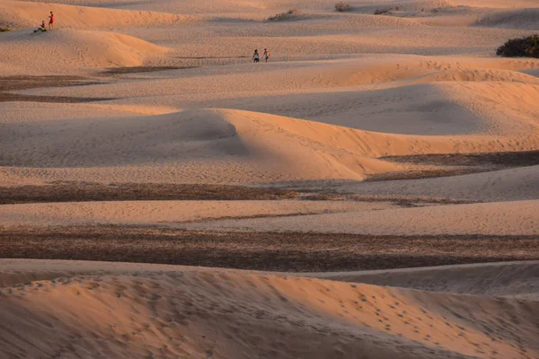 Deserto Com Dunas Areia Maspalomas Gran Canaria Espanha — Fotografia de Stock