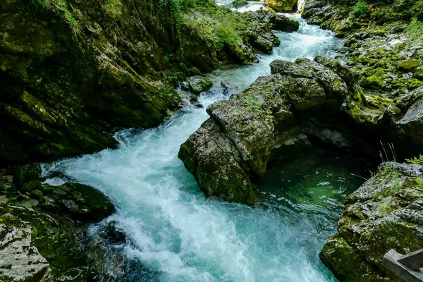 森の滝美しい写真デジタル画像 — ストック写真