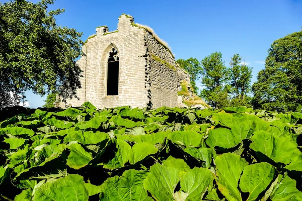 Ruinas Vieja Iglesia Foto Hermosa Foto Digital —  Fotos de Stock