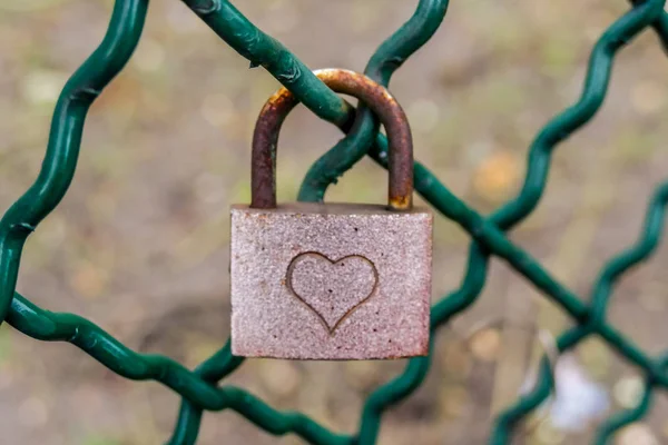 Lock Padlock Heart Net Paris City — Stock Photo, Image