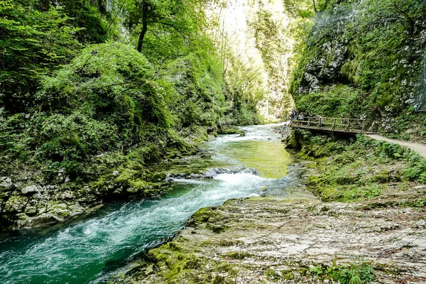 Wasserfall Wald Schönes Foto Digitales Bild — Stockfoto