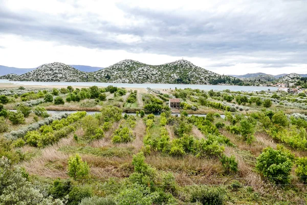 Spanya Daki Üzüm Bağı Güzel Dijital Fotoğraf — Stok fotoğraf