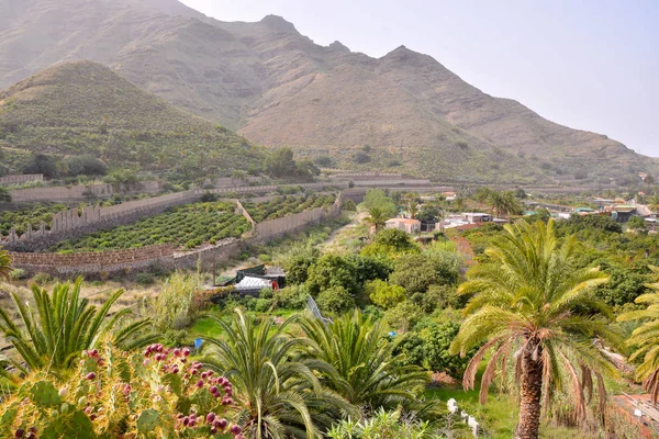 Foto Foto Paesaggio Paesaggistico Campagna Naturale Europea Agaete Gran Canaria — Foto Stock