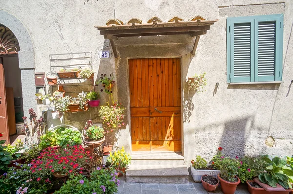 Çiçekli Kapı Güzel Dijital Fotoğraf — Stok fotoğraf