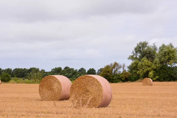 Foto Foto Foto Landschaft Landschaft Europäische Naturlandschaft — Stockfoto