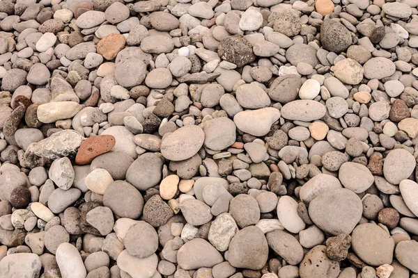 Фотография Абстрактный Фон Сухими Круглыми Камнями — стоковое фото