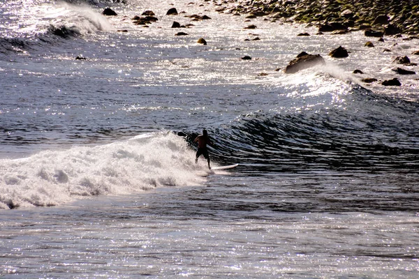 Single Surfer Bij Zonsondergang Een Rustige Oceaan — Stockfoto