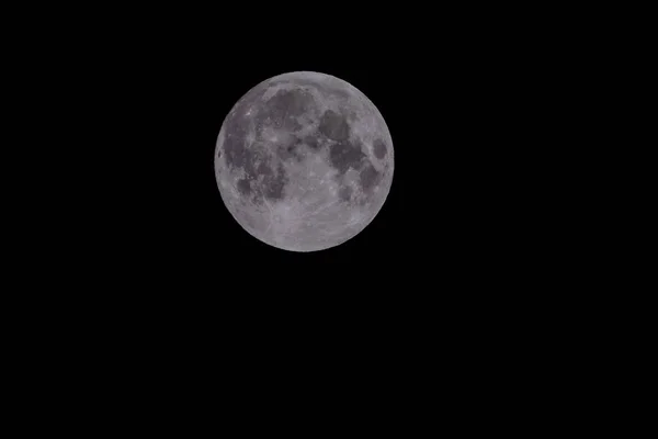 Fénykép Hold Éjszakai Égbolt — Stock Fotó