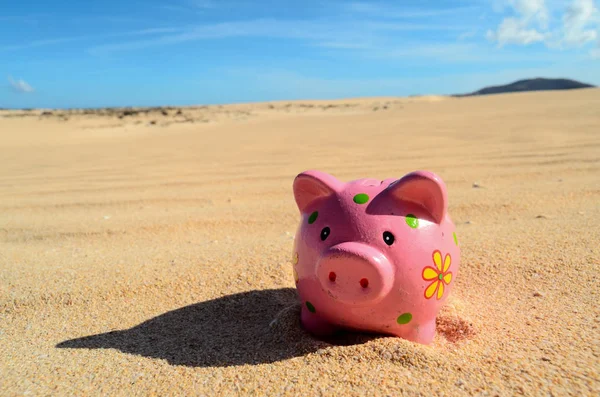 Conceptual Photo Picture Piggy Bank Object Dry Desert — Stock Photo, Image
