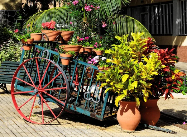 Vagão Vasos Com Plantas Jardim — Fotografia de Stock