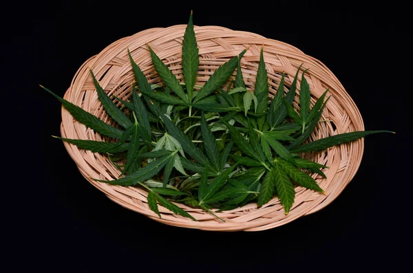 Cannabisbladeren Schaal Een Zwarte Achtergrond — Stockfoto