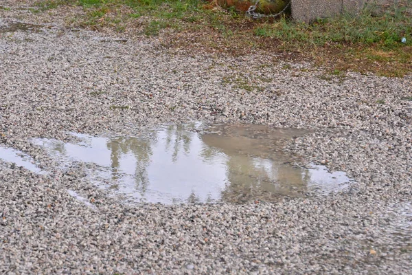 Zdjęcie Kałuża Wody Krople Deszczu — Zdjęcie stockowe