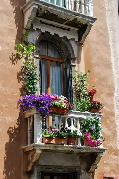 Çiçekli Pencere Güzel Dijital Fotoğraf — Stok fotoğraf