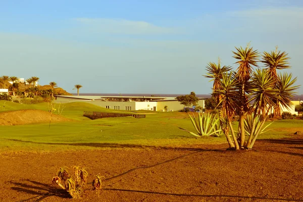 Golf Course Gorgeous Green Fuerteventura Spain Canary Islands — Stock Photo, Image