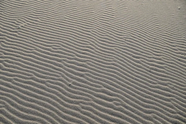 Rimpelingen Het Zand Mooie Foto Digitaal Beeld — Stockfoto