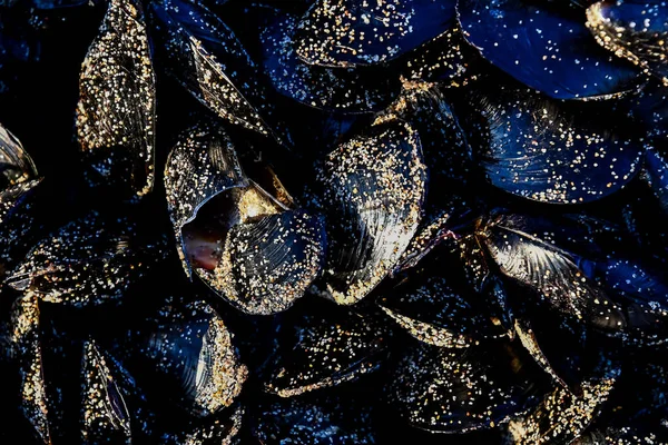 Schmuck Auf Blauem Hintergrund Schönes Digitales Foto — Stockfoto