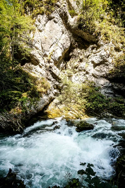 Wasserfall Wald Schönes Foto Digitales Bild — Stockfoto