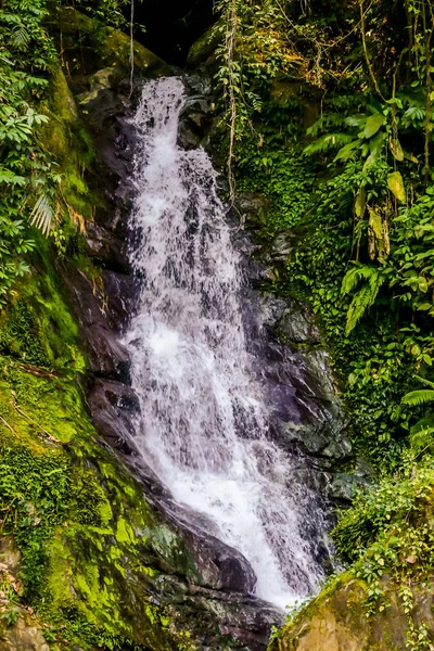 Wasserfall Wald Schönes Foto Digitales Bild — Stockfoto