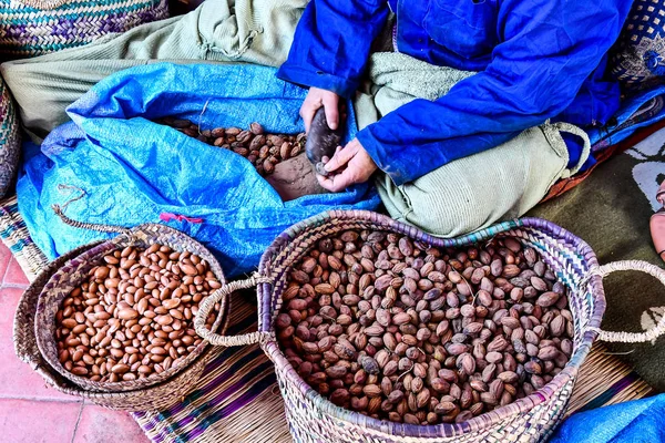 Fond Coquilles Graines Argan Belle Photo Photo Numérique — Photo