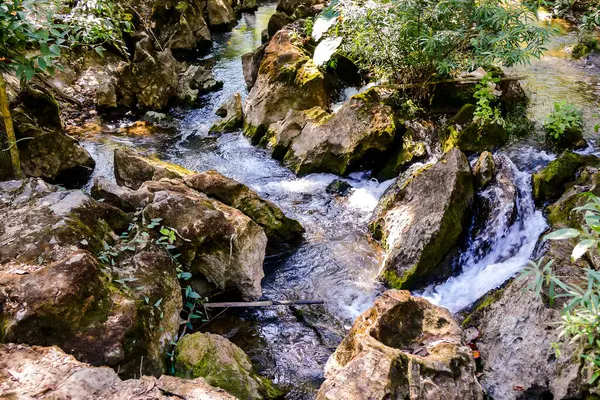 Bach Wald Schönes Foto Digitales Bild — Stockfoto