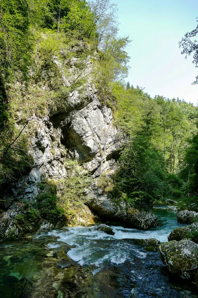 Fluss Wald Schönes Foto Digitales Bild — Stockfoto