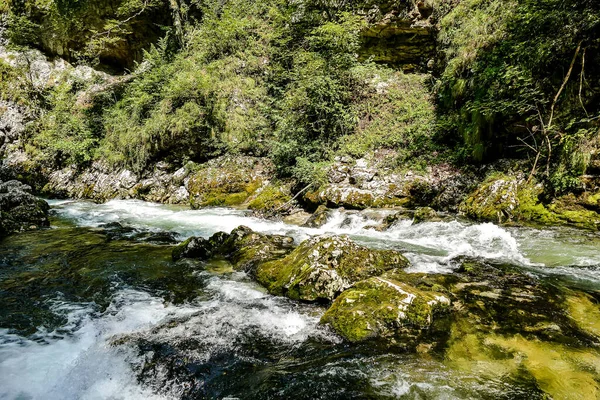 Fluss Wald Schönes Foto Digitales Bild — Stockfoto