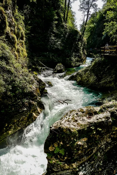 森の滝美しい写真デジタル画像 — ストック写真