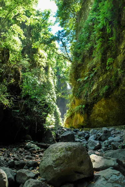 Wasserfall Wald Schönes Foto Digitales Bild — Stockfoto