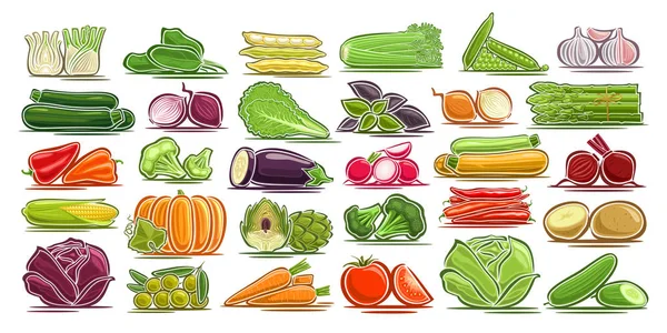 新鮮な野菜 野菜ベジタリアンの の分離設計記号 包装用の単純なファームの要素のイラスト 白地にカラフルな農業症状のグループのベクター セット — ストックベクタ