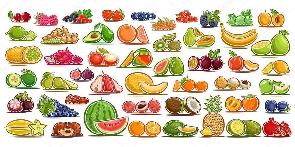 Vector set of fresh Fruits, 49 cut out organic fruits and berries, group of colorful design signs for package of drinks or ice cream, sweet apricot, healthy gooseberry, flat symbols for snack or jam.