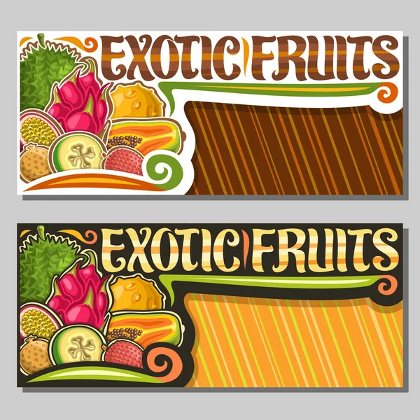 Układy Wektorowe Dla Egzotycznych Owoców Kopią Poziomymi Banerami Ilustracją Sterty — Wektor stockowy