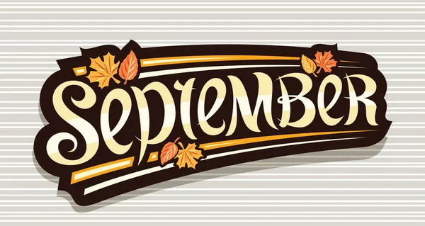 Vektor Banner För September Svart Logotyp Med Lockigt Kalligrafisk Teckensnitt — Stock vektor