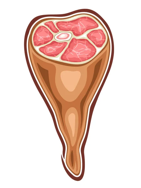 Vector Illustratie Van Ham Leg Witte Achtergrond — Stockvector