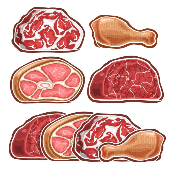 Vektorová Sada Různých Syrových Maso Série Sbírka Vystřižených Ilustrací Různých — Stockový vektor