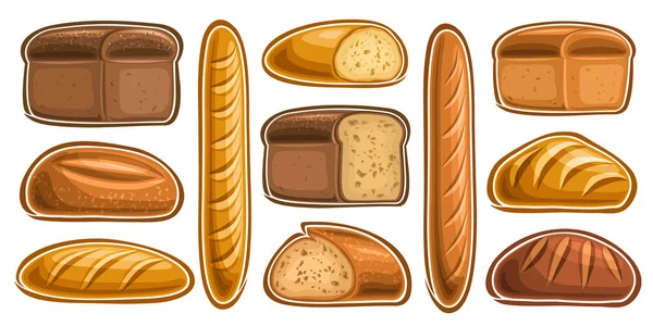 Вектор Набір Різноманітних Хліба Хлібобулочних Виробів Колекція Вирізаних Ілюстрацій Свіжого — стоковий вектор