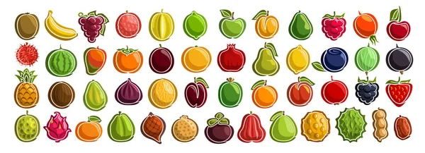 Conjunto Vetorial Frutas Frescas Grupo Frutas Bagas Desenhos Animados Cortados — Vetor de Stock