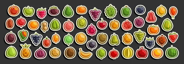 Vector Set Fresh Fruits Group Cut Out Cartoon Fruits Berries — Stock Vector