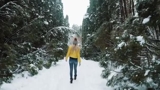 Meisje in gele jas wandelingen rond een winter bos bedekt met sneeuw — Stockvideo