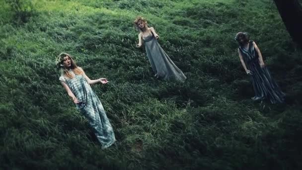 Chicas místicas en el bosque sostienen un ritual.They están vestidos con vestidos largos con corona en la cabeza. Brujas, sesiones esotéricas, magia, adivinación, fuerzas de otro mundo — Vídeos de Stock