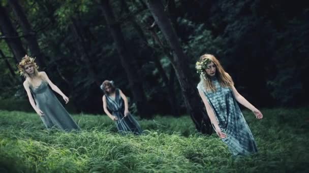 Meninas místicas na floresta realizar um ritual. Eles estão vestidos com vestidos longos com grinalda na cabeça. Bruxas, sessões esotéricas, magia, adivinhação, forças do outro mundo — Vídeo de Stock