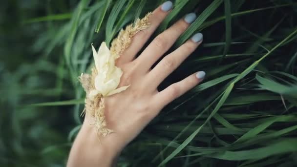 Donna mano accarezzando erba, tenerezza. Mano di una ragazza con una manicure blu — Video Stock